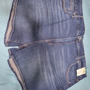 Terra & Sky Classic Blue Jean Shorts